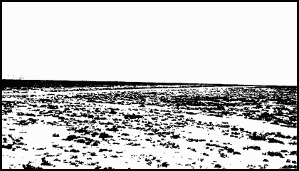 dnwind_1.gif (22134 bytes)